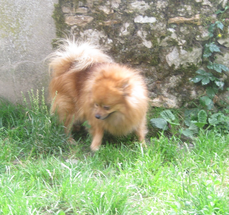 Betsy bikini du Crystal Noir