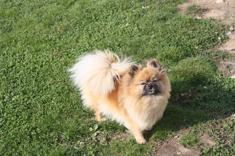 Gyvenchy starlight du Crystal Noir